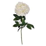 Ramo Fiore di Peonia Bianco foto