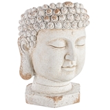 Vaso Testa di Buddha foto