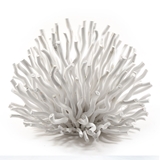 Corallo in Legno Bianco foto