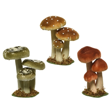 Funghi Decorativi