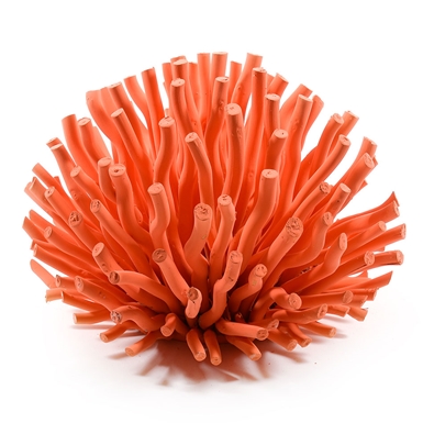 Corallo in Legno Arancione